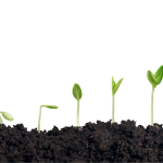 edukacja finansowa to szacunek dla samej siebie