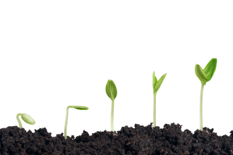 edukacja finansowa to szacunek dla samej siebie